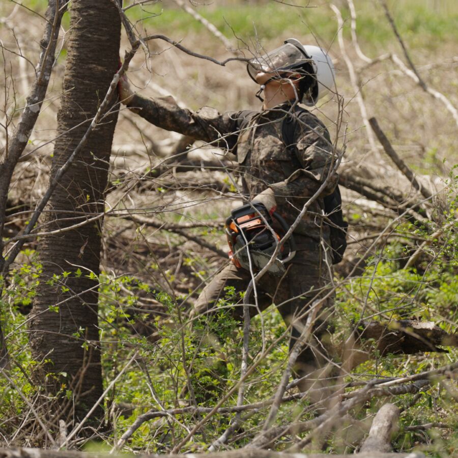 Soldier with helmet on and chainsaw in left hand reaches a tree trunk and looks the tree up