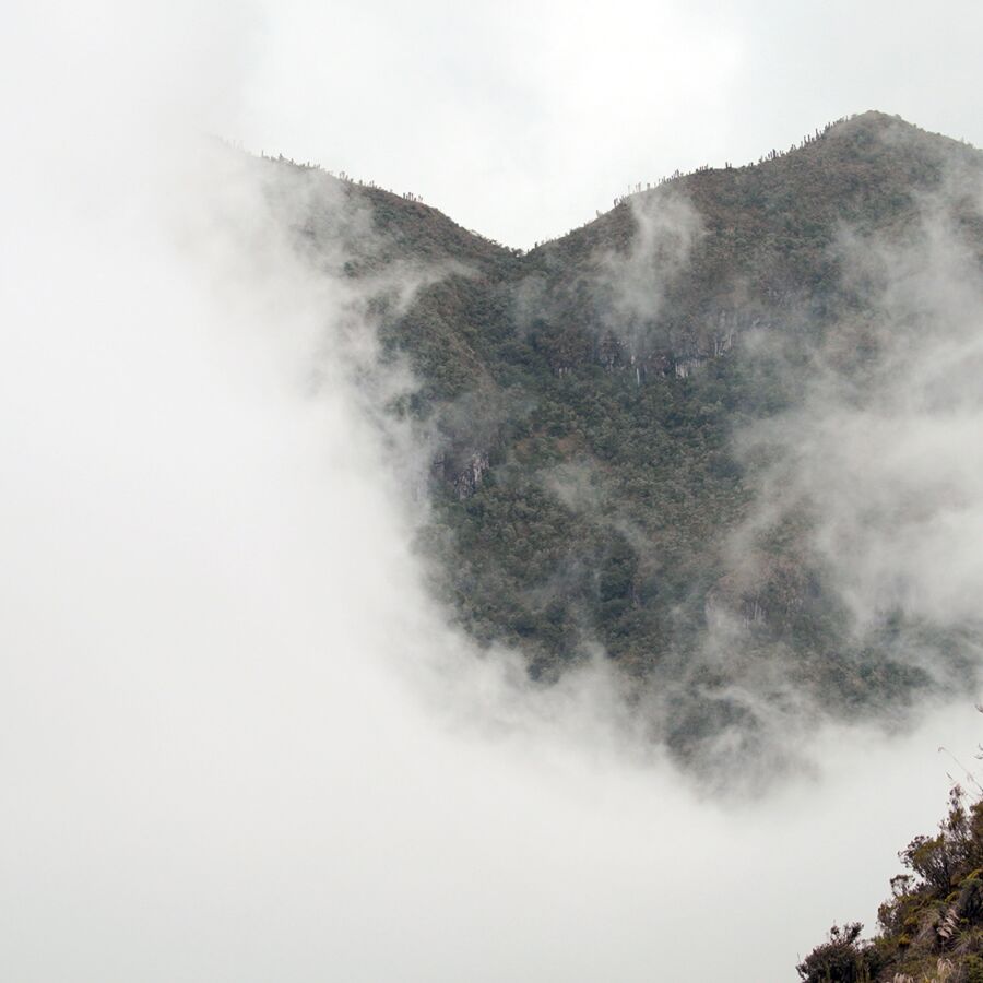 Foggy mountain view